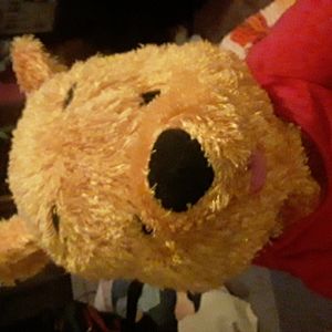 Winnie the pooh plush